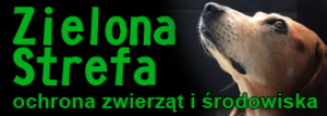 zielona strefa