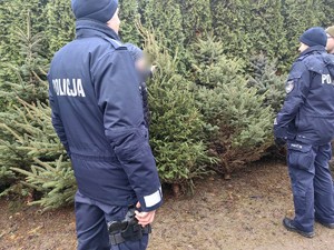Policjanci wspólnie z funkcjonariuszami Straży Leśnej monitorują punkty sprzedaży drzewek na terenie powiatu monieckiego